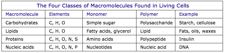 Table of four kinds of macromolecules